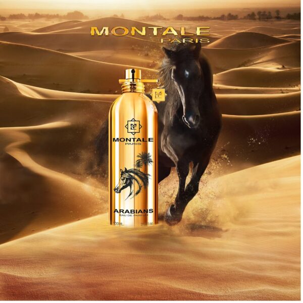 Montale Arabians - Image 2